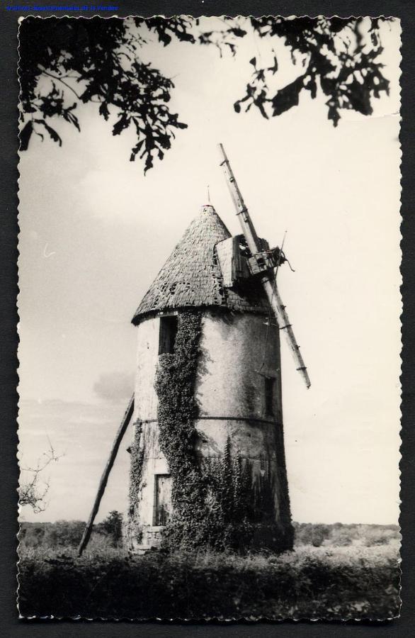 Moulin A Vent Le Champ Du Trail Villa Saint-Cyr-des-Gats Dış mekan fotoğraf